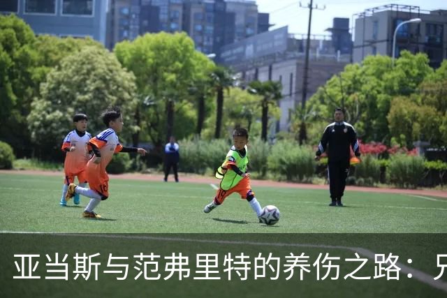 亚当斯与范弗里特的养伤之路：兄弟间的“搞笑语言