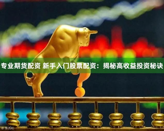 专业期货配资 新手入门股票配资：揭秘高收益投资秘诀